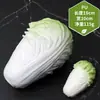 Adereços de vegetais de simulação modelo de vegetal de simulação folhas de alface falsas brócolis repolho adereços de supermercado frutas e vegetais crianças