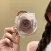 Pinza para el Cabello de Encaje con Atmósfera Rosa Seca para la Parte Trasera de la Cabeza, Accesorio para el Cabello tipo Pinza de Tiburón, Nuevo Estilo 2026 para Cabello de Poco Volumen