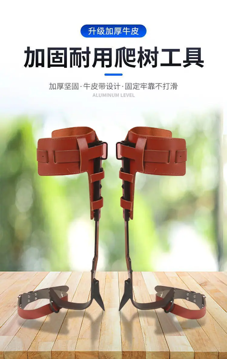 详情_01.jpg