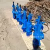 Varilla de Empuje Hidráulica Eléctrica, Varilla de Empuje Hidráulica Eléctrica, Varilla de Empuje Hidráulica Eléctrica Paralela de Gran Empuje, Varilla de Elevación, Hidráulica Eléctrica Recta