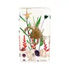 4 # Ciudad del Libro Mediana Océano de Insectos Mariposa Espécimen Ámbar Adorno Centro de Insectos Más Vendido Exposición de Ciencia Popular Regalo de Estudio