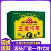 Fabricante Venta al por Mayor Pomada Xiangmingtang Wudu Baicao 25g para Entrega