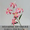 Decoração de Casamento com Materiais Florais Vermelho-Rosa, Folhas Artificiais, Rosas e Arranjos Florais para o Salão do Casamento e Painel de Fundo