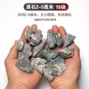 Tanque de Peces Paisajismo Piedra Rocalla Tanque de Peces Terminado Piedra Dragón Verde Piedra Pequeña Piedra Ornamental Decoración Enredadera y Otros