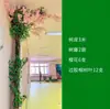Folhas, galhos, videiras, flores artificiais, trepadeiras, canos, pilares, plantas trepadeiras, plantas verdes, plantas de parede, cobrindo imperfeições, decorações