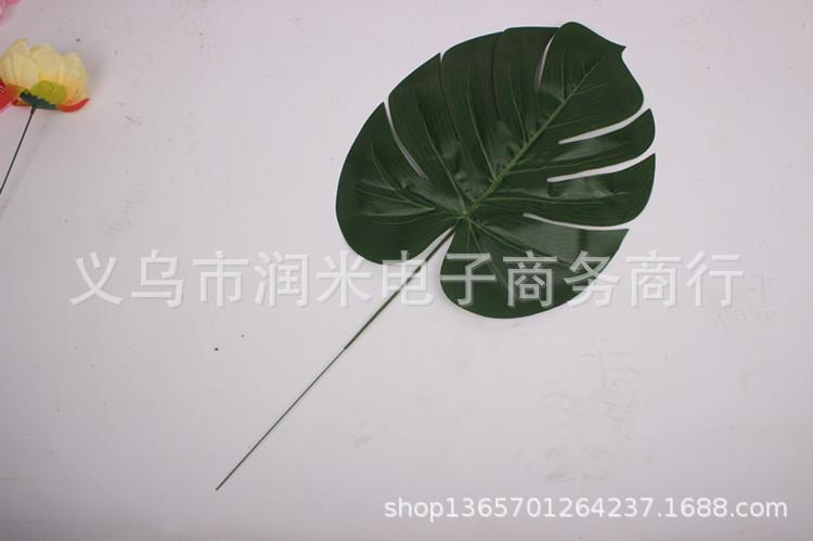 IMG_8503_副本2