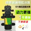 Accesorios Completos para Pulverizador Eléctrico Agrícola Bomba de Agua 12V Batería de Litio Cargador de Batería Boquilla Pulverizadora de Pesticidas de Alta Presión