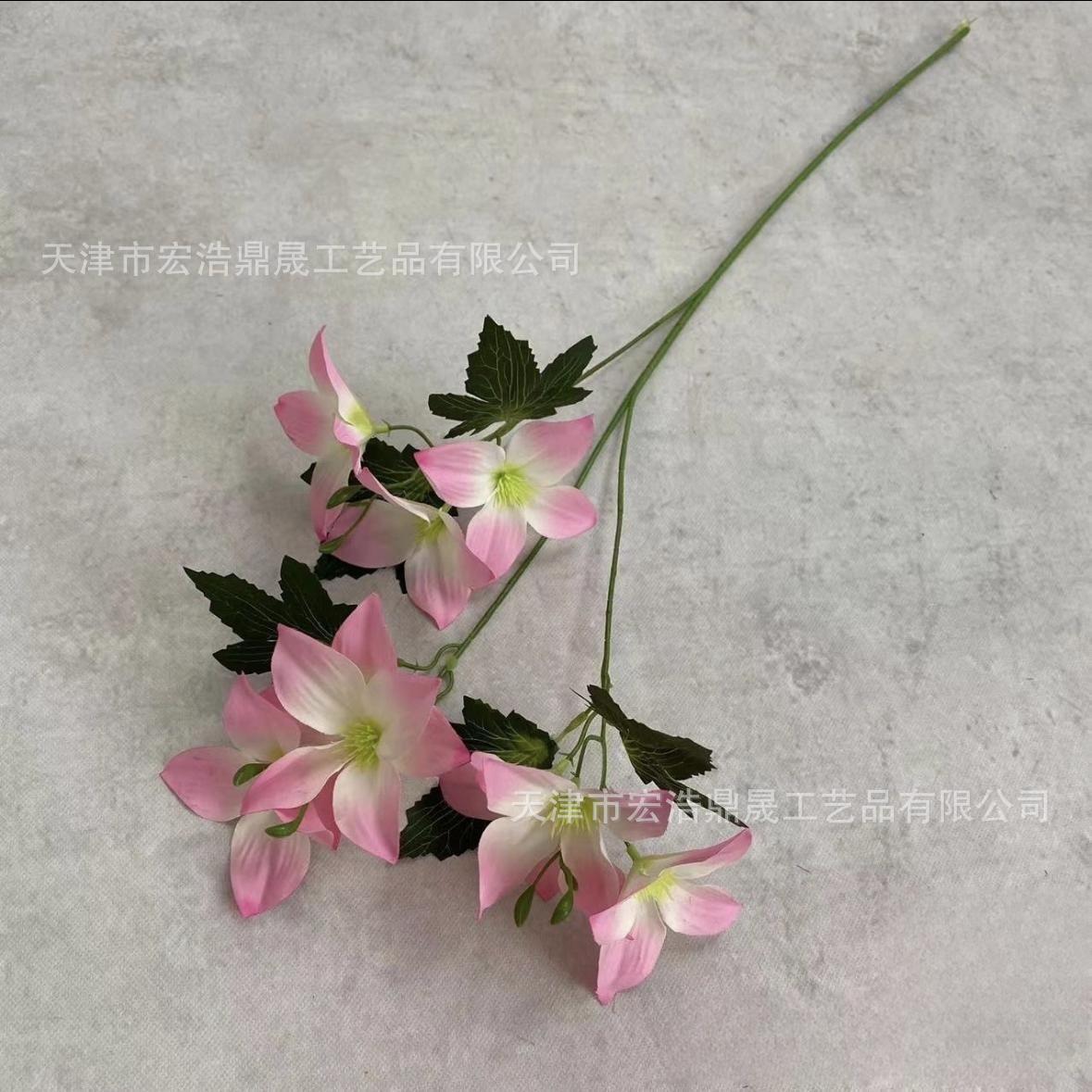 微信图片_20230821113627_副本