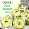 Postre de Tofu Sabor Original Longjing Osmanthus Aibelin, Postre Instantáneo Sin Cocción para Puestos Callejeros y Dulcerías, 500g