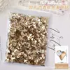 Taladro para Uñas Color Champagne Explosivo Red de Internet Mini Pequeño Forma Plana Broca Super Brillante Piedra de Pedrería Decoración para Uñas