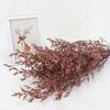 Flor eterna para amantes de la hierba, flores secas frescas para el día de San Valentín, flores eternas secas, material para flores, accesorios para fotografía de flores a juego