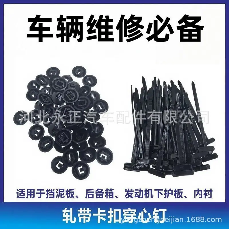 4786bb924a562ca61aba13e7995d29
