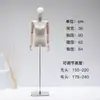 Tienda de ropa accesorios para maniquíes de hombro plano maniquí femenino de medio cuerpo ventana maniquí de cuerpo entero hombro en ángulo recto base engrosada soporte de exhibición