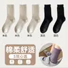 Calcetines tobilleros nuevos con volantes, calcetines de media pantorrilla para mujer, calcetines de algodón estilo japonés para otoño/invierno, perfectos con sandalias Birkenstock, calcetines de encaje de color liso