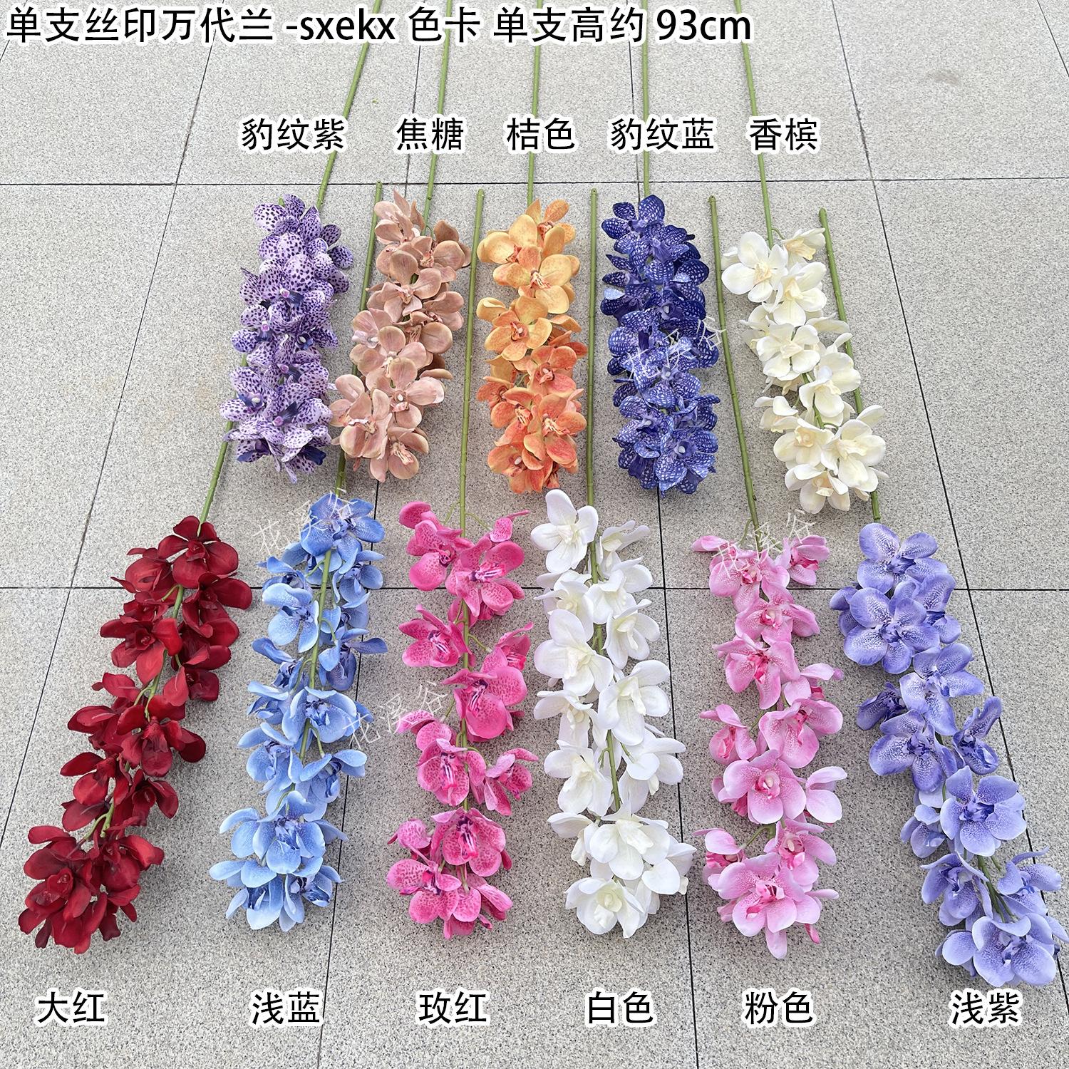 单支丝印万代兰-sxekx 色卡 花溪谷.jpg