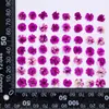 Flores de Gipsófila Flores secas Flores prensadas Especímenes de plantas DIY Resina Funda para teléfono de flores secas Velas perfumadas Marcos de fotos Marcadores