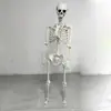 Esqueleto Popular Transfronterizo de Halloween 170cm Esqueleto de Pie Prop para Salas de Escape, Casas Embrujadas y Decoraciones de Halloween