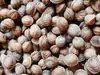 Material de Tallado de Hueso de Durazno con Patrón de Dragón Poco Profundo de Qinzhou Silvestre, Artículos Uniformes Sin Importar el Tamaño, el Tipo de Núcleo y el Color Son Aleatorios, Tenga Cuidado al Comprar