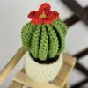 Novos produtos transfronteiriços da Amazon enfeites de cacto criativos de tricô feitos à mão pura planta em vaso boneca de lã curativa