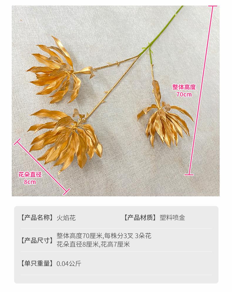 火焰花产品参数.jpg