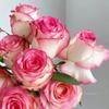 Balcón de Jugo Planta en Maceta Rosa con Capullos Florece Todo el Año Flor de Rosa Rosales Fáciles de Cultivar con Aroma Frutal