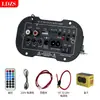 Placa Amplificadora de Potencia con Subwoofer para Karaoke con Micrófono Dual de Danza Cuadrada Amplificador de Potencia Bluetooth para Coche con Ajuste de Reverberación Audio para Coche