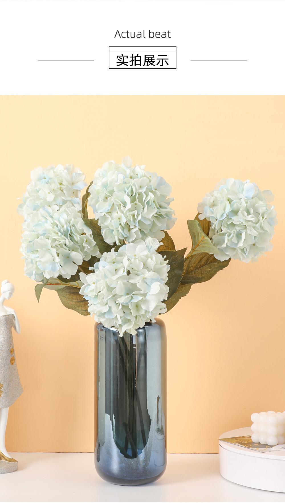 7ed5058472cef02a980f40b51a0703