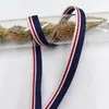 Cinturón decorativo de 1 cm con rayas de colores y laterales de colores, cinta de poliéster multicolor con borde de eslinga, accesorios de ropa al por mayor