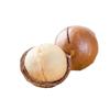 Nueces Nueces de Macadamia Mayoreo 500g Cremosa Nuez Nueces Peladas a Mano Snacks de Año Nuevo Nueces de Macadamia