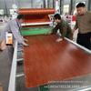 Máquina de Revestimento com Painel de Cristal de Carbono Ice and Fire Totalmente Automática Máquina de Revestimento com Painel Pet de Alto Brilho Máquina de Revestimento com Painel de Madeira PVC Máquina de Revestimento Plano para Painéis Grandes