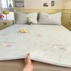 2026 Nuevo Modelo Dormitorio Estudiantil Colchoneta Individual Colchoneta de Frijol Helado Colchoneta de Cama Lavable a Máquina Verano