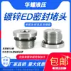 Tornillo de Superficie de Brida Tapón Anillo de Sellado Edagonal Galvanizado Tapón de Aceite Tapón G1/8G1/4G3/8G1/2