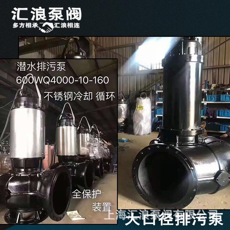 大口径排污泵04.jpg