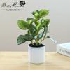 Flores Artificiales, Plantas Verdes Artificiales, Bonsái, Adornos Creativos, Flores Simuladas, Plantas de Plástico, Decoración de Interiores, Dropshipping, Plantas en Maceta Simuladas