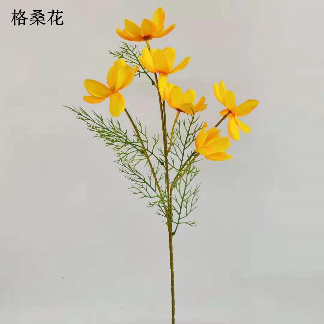 格桑花黄色1