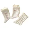 Calcetines Medios de Mujer Lolita Delgados Ins Modernos Estilo Coreano Combinan con Todo Lindo Estilo Japonés Dulce Estudiante Encaje Blanco Calcetines