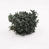 Hortensia Flor Seca Flor Eterna Material Flor Rosa Regalo de Navidad Ramo Hecho a Mano Hortensia de Madera 20g En Caja