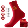 Versão coreana de meias marrons Women's Mid-barrel outono e inverno em Mori doce listrado urso all-match menina estudante meias atacado