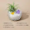 Cristal Natural Fortuna Micro-Paisaje Piña de Aire Grava Desmagnetizada Lingote Adornos de Decoración para Escritorio de Oficina Dormitorio