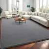 Alfombrillas de Piso de Terciopelo Coral Transfronterizas, Alfombras Absorbentes para Sala de Estar del Hogar, Alfombrillas Antideslizantes Resistentes a las Manchas y de Fácil Cuidado, Alfombrillas de Área Grande para Todo el Piso