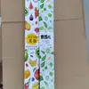 Caixas de Embalagem Biodegradáveis para Levar, Caixas de Almoço Descartáveis, Caixas Retangulares para Fast Food, Caixas para Refeições Leves, Saladas e Refeições Fitness