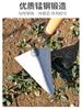 Enxadão para Formação de Sulcos e Camalhões, Enxada Triangular, Ferramenta Agrícola, Enxada Triangular Pontiaguda de Aço Manganês, Enxadão Bico de Gavião para Plantio de Hortaliças e Afofamento do Solo