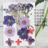 Bolsa de flores secas con relieve de flores reales naturales para maquillaje, hecha a mano