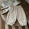 Calça Esportiva Infantil Veludo Calça Casual Calça Infantil Calça de Moletom Primavera e Outono Meninos e Meninas Solta Estilo Coreano Calça Harem Tendência Atacado