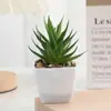 Combinação de suculentas para simulação transfronteiriça planta em vaso com vaso terra para interior mesa mini carne planta em vaso pequena planta verde flores