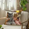 Fundas de Almohada de Gato Más Vendidas en Temu, Fundas de Almohada de Animales Lindas y Divertidas, Fundas de Cojín Decorativas para Dormitorio Hogar Sofá Venta al por Mayor