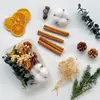 Paquete de Materiales Hechos a Mano para Bricolaje Flores Mixtas Plantas Flores Secas Piñas de Navidad Estilo Bosque para Jardín de Infancia Creación Ambiental Decoración