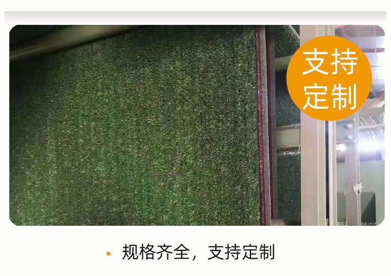 仿真草坪_08.jpg