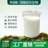 Shampoo para Cães e Gatos Contrato de Fabricação Pet OEM Marca Própria Espuma Rica Limpeza e Condicionamento Líquido Fornecimento Direto da Fábrica Produção Personalizada ODM