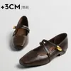 Zapatos Mary Jane de Diseño Francés 2026 Primavera/Otoño Nuevos Punta Cuadrada Tacón Grueso Versátiles de Corte Bajo Zapatos Individuales para el Trabajo